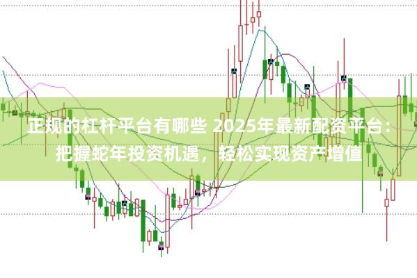 正規(guī)的杠桿平臺有哪些 2025年最新配資平臺：把握蛇年投資機遇，輕松實現(xiàn)資產(chǎn)增值