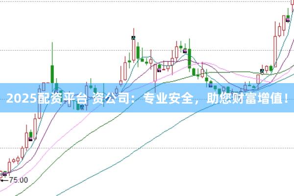 2025配資平臺 資公司:專業(yè)安全,助您財富增值!