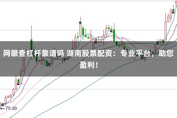 網(wǎng)眼查杠桿靠譜嗎 湖南股票配資：專業(yè)平臺(tái)，助您盈利！