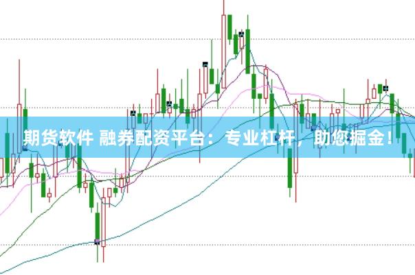 期貨軟件 融券配資平臺:專業杠桿,助您掘金!